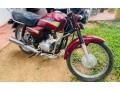 hero-honda-cd-dawn-small-2