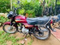 hero-honda-cd-dawn-small-3