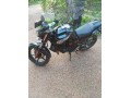 fz-v1-small-0