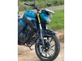 yamaha-fz-n-250-small-3