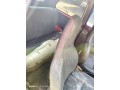 nissan-march-small-4