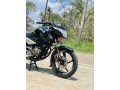 pulzar-135-small-1