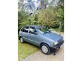 maruti-800-cc-small-3