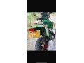 kawasaki-kdx-125-small-0