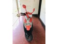 scooty-pept-small-4