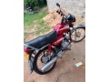 hero-honda-cd-dawn-small-1
