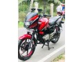 bajaj-pulsar-small-1