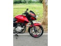 bajaj-pulsar-small-3