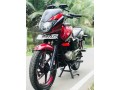 bajaj-pulsar-small-2