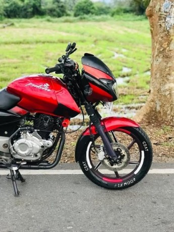 bajaj-pulsar-big-3