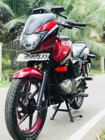 bajaj-pulsar-big-2
