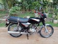 bajaj-boxer-small-3
