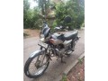 baja-boxer-small-3