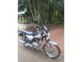 baja-boxer-small-1