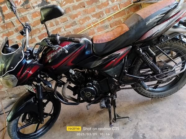 bajaj-discovery-150-big-1
