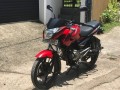 bajaj-pulsur-small-0