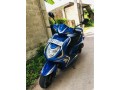 ranamoto-sweety-small-0