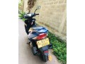 ranamoto-sweety-small-1