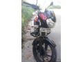 bajaj-discovery-150cc-small-3