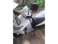 honda-dio-small-1