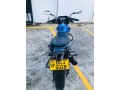 pulsar-135-small-4