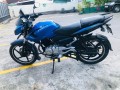 pulsar-135-small-3