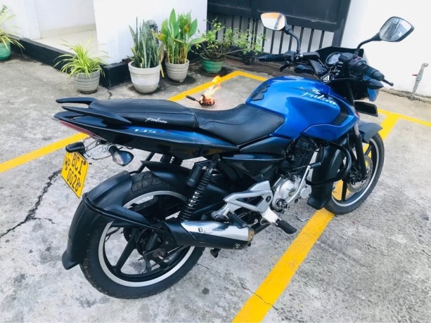 pulsar-135-big-2