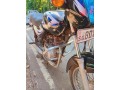 bajaj-ct-100-small-2