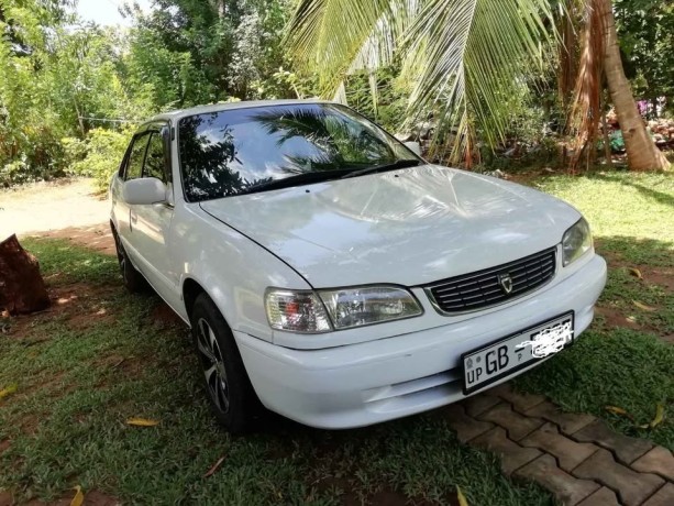 toyota-corrolla-110-big-0