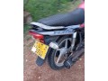 platina100-small-1