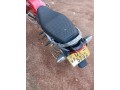 platina100-small-2