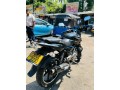 pulsar-150-cc-small-2