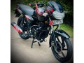 discover-135cc-small-2