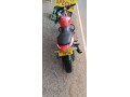 bajaj-pulsar-small-1