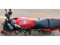 bajaj-pulsar-small-2