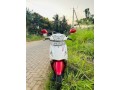 pleasure-scooter-small-1