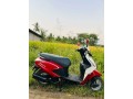 pleasure-scooter-small-2