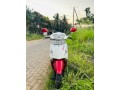 pleasure-scooter-small-0