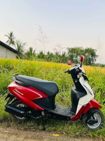 pleasure-scooter-big-2