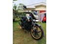 tvs-flame-small-1