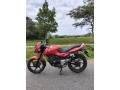 bajaj-pulsar-small-0