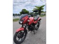 bajaj-pulsar-small-2