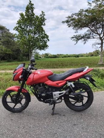 bajaj-pulsar-big-0