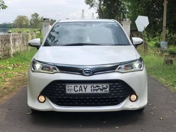 toyota-axio-wxb-big-0