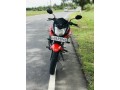 honda-stunner-small-1