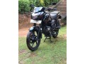 bajaj-pulsar-135-ls-small-4