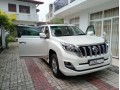 prado-150-tx-small-2