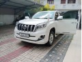 prado-150-tx-small-1