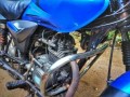 baja-platina-100cc-small-4