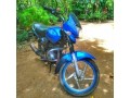 baja-platina-100cc-small-3